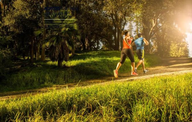 大揭秘|每天堅持一萬步，真的有用嗎？