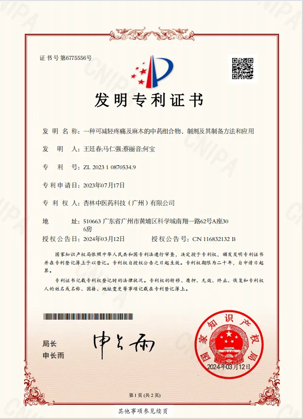 一種可減輕疼痛及麻木的中藥組合物、制劑及其制備方法和應(yīng)用